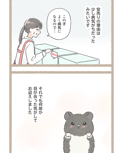 2#396①色_20251120154944