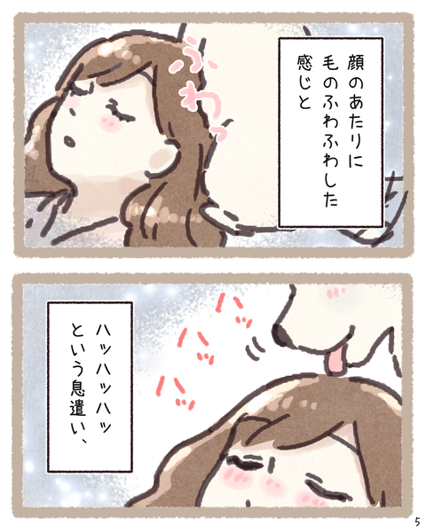 5 411