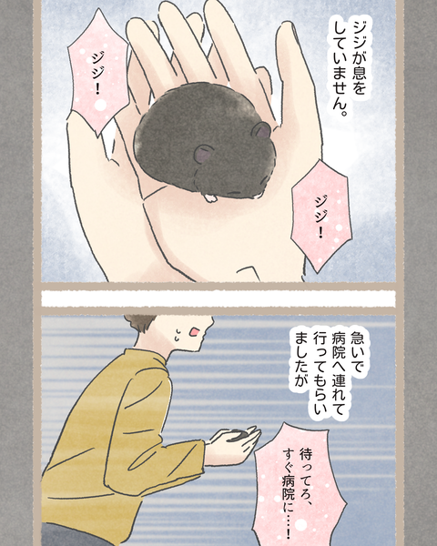 5#396②色_20251122174429