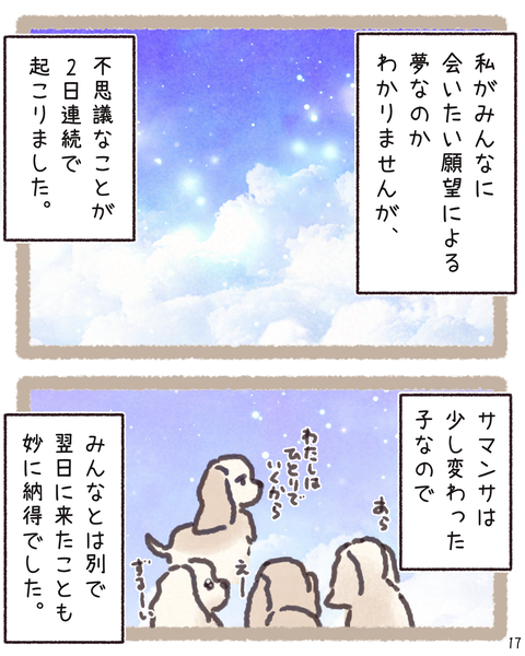 17 411
