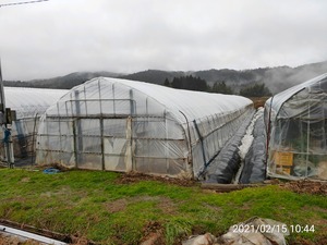 TimePhoto_20210215_104452