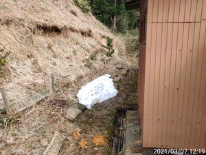 TimePhoto_20210307_121940