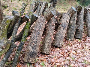 TimePhoto_20210215_103107