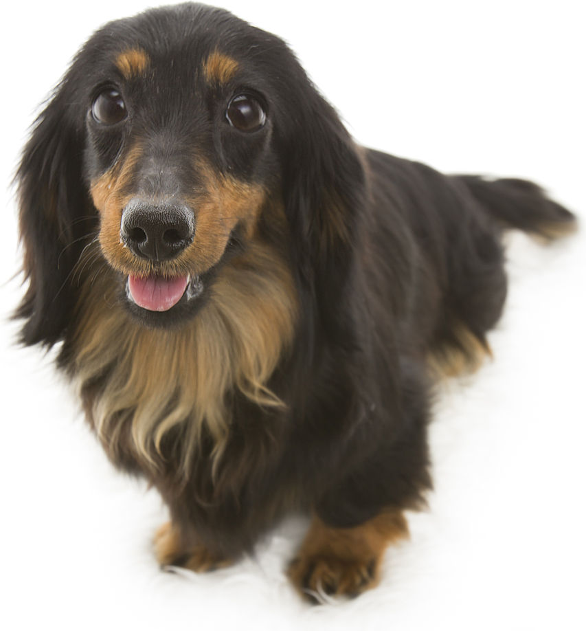 西田人権宣言 リベンジポルノ小説 あらすじ 犬太dog Lol ブログ 西田人権宣言 西田人権宣言 リベンジポルノ小説 あらすじ 犬太dog Lol ブログ 西田人権宣言