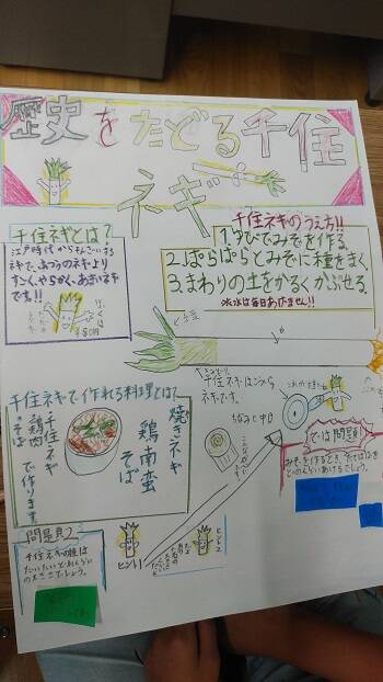 5年生 千住ねぎの取組 西伊興小学校日記