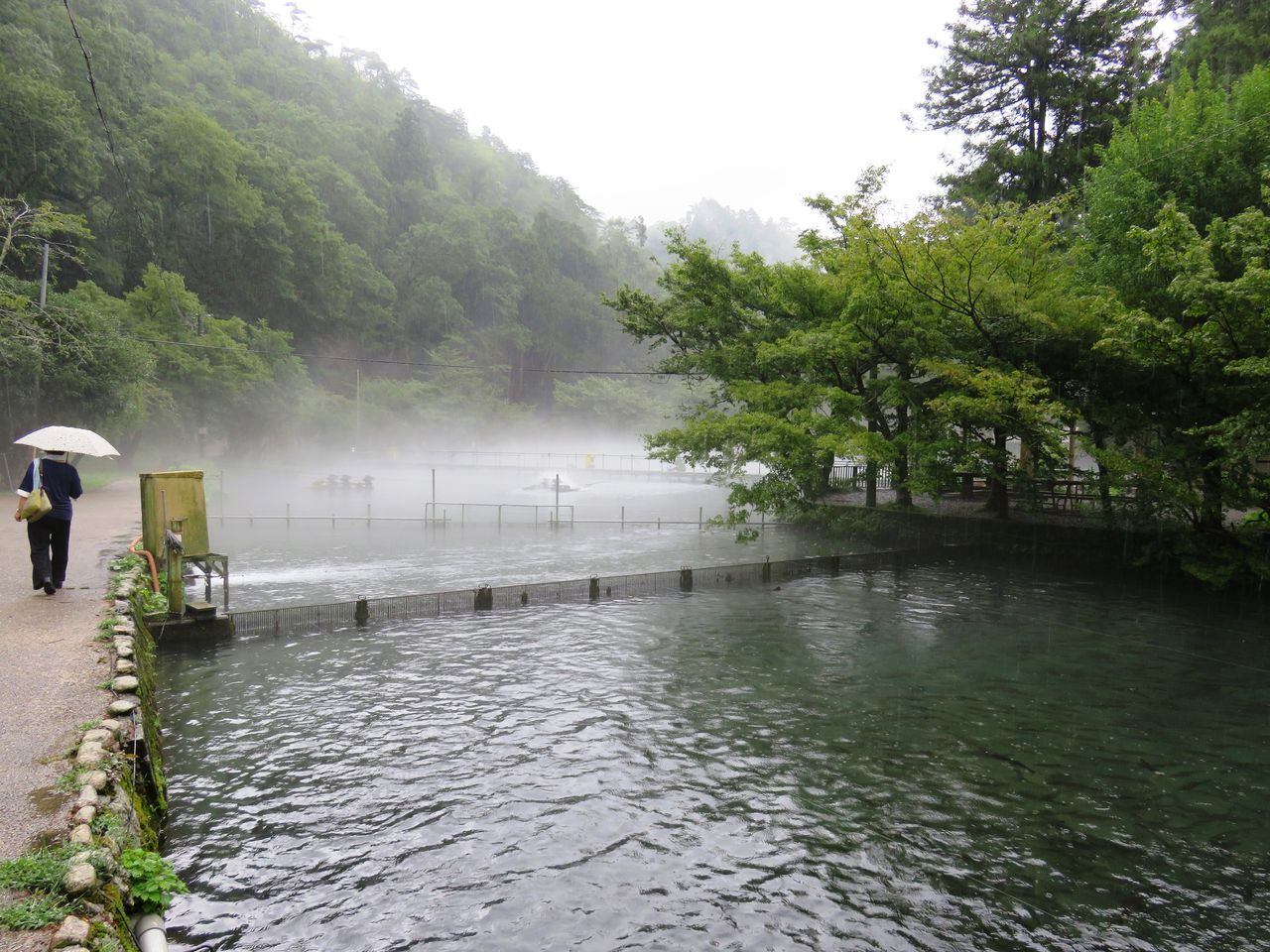 いいですねー 醒ヶ井養鱒場 なにしてりゃーすのblog