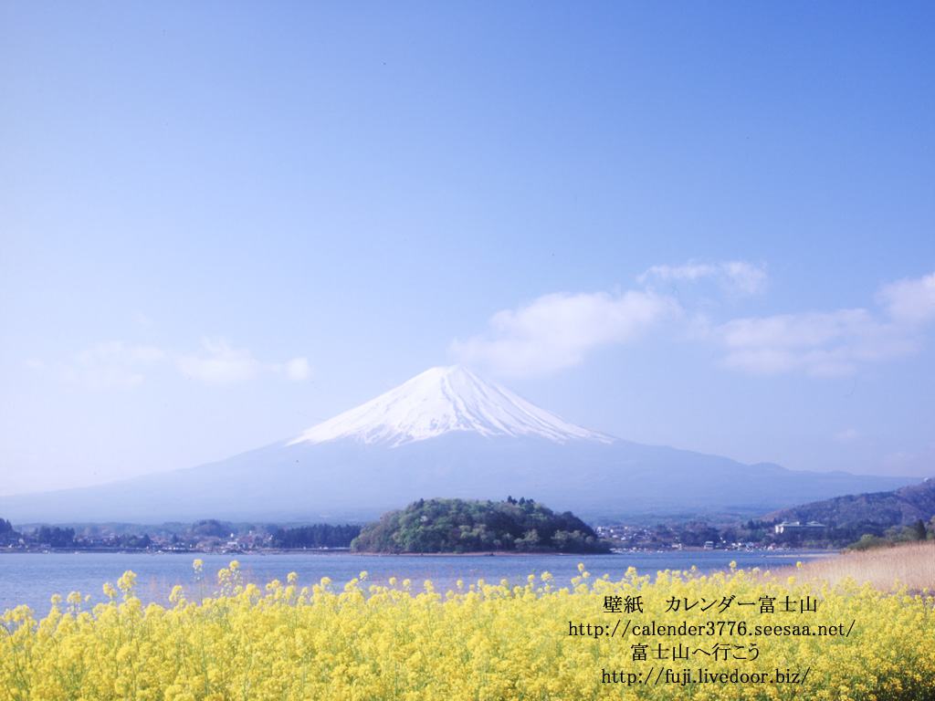 富士山と菜の花壁紙 富士山へ行こう
