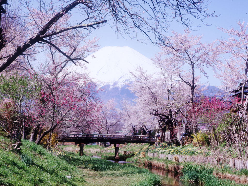 壁紙 富士山へ行こう