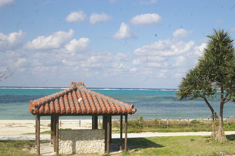 IMGP3641
