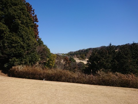 20190309121904_p