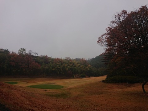 20181206134617_p