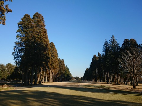 20190105150909_p