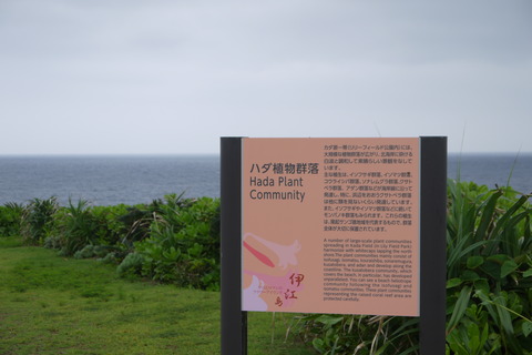 P1040047