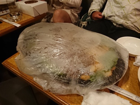 20190408192801_p