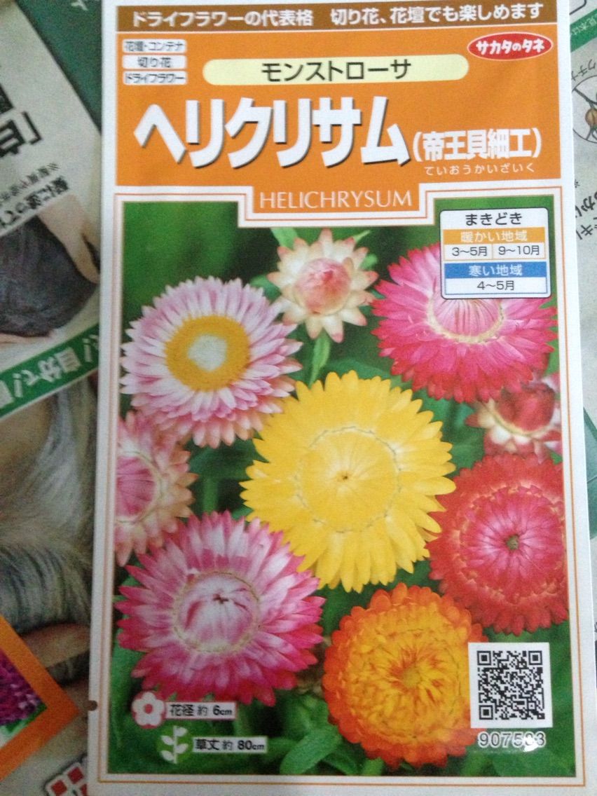 購入帝王貝細工種 花とハムスターとおばあさん