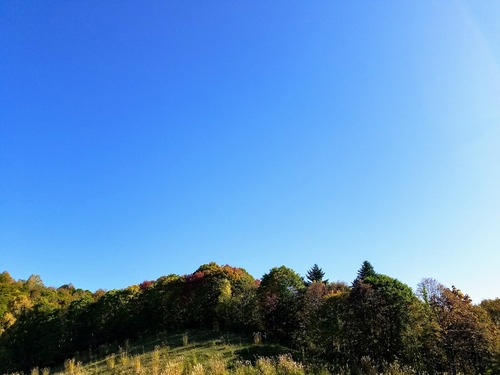 20201011_090048