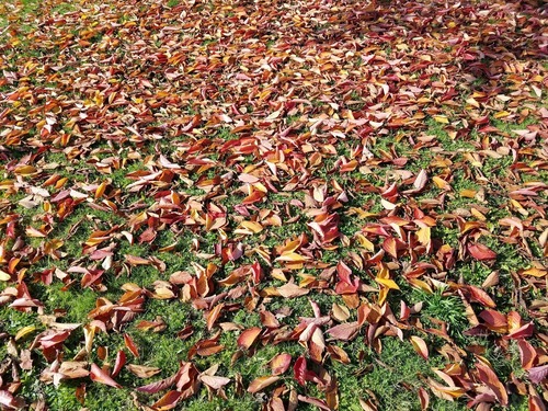20181021_122059
