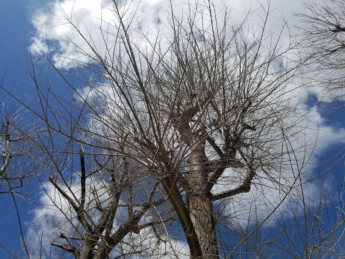 新入社員に贈る言葉 日新運輸株式会社 社長ブログ