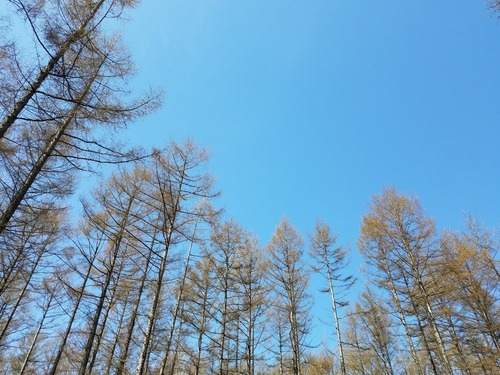 20170504_101941