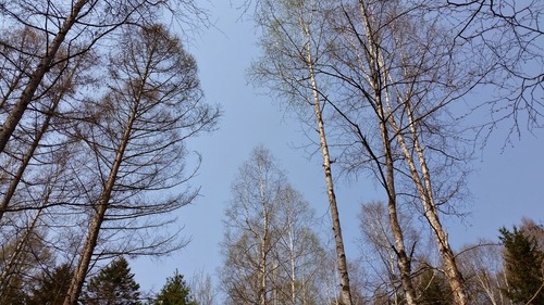 20150429_095249