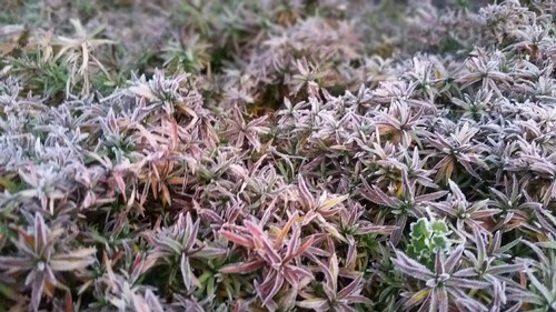 20151114_061034