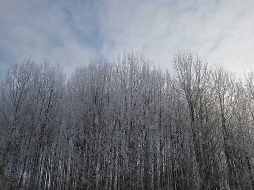 20191223_105511