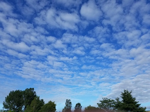 20190717_062756