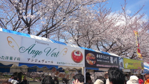 sakura201216