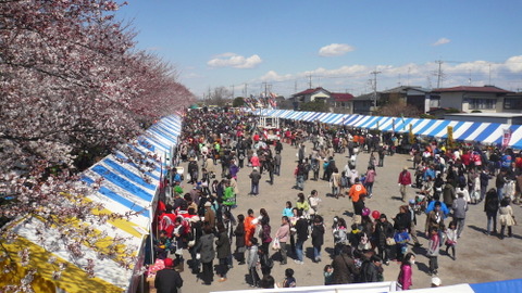 sakura201202