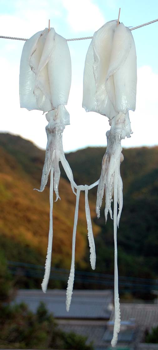 hosiika