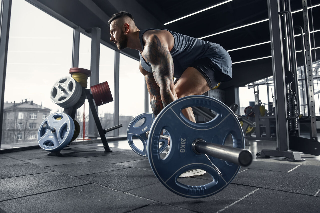 デッドリフトに匹敵する筋トレ教えて ダイエット 筋トレ速報