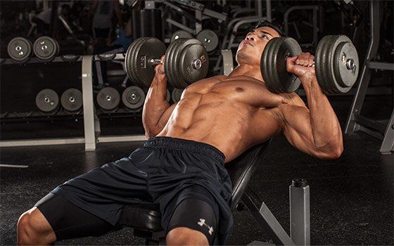 プレス 40kg ダンベル