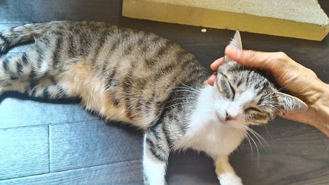 P_20160910_124526_HDR