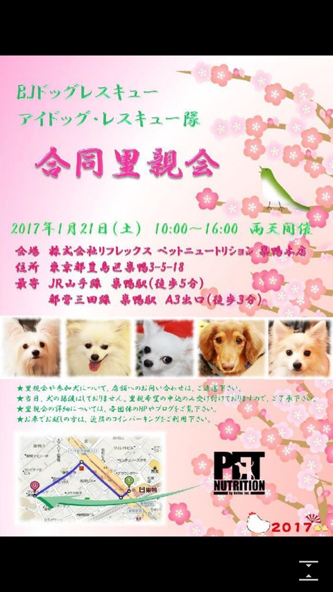 Screenshot_2017-01-12-10-30-25