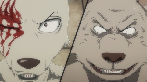 ついにリズと対峙するレゴシ Beastars 第2期 第10話 第22話 感想まとめ おまかせやがれっ