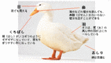 da31c14a.gif