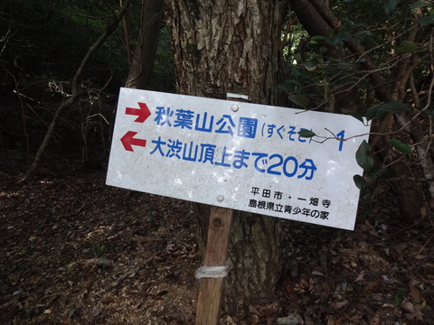 DSC06845