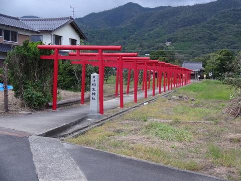 DSC06909