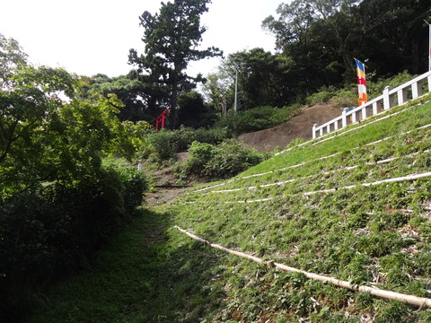 DSC06843