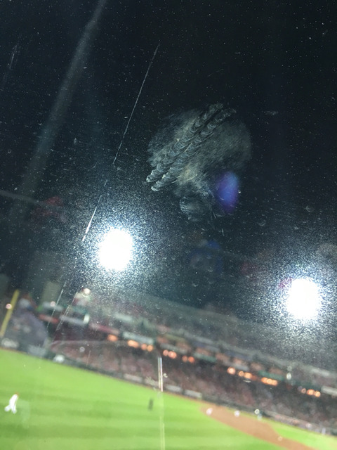 carp-ball