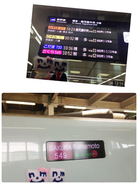 エスロン1-1