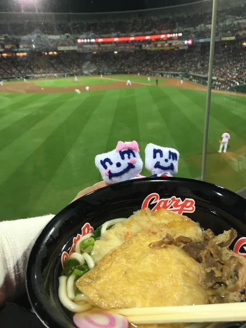 carp-udon