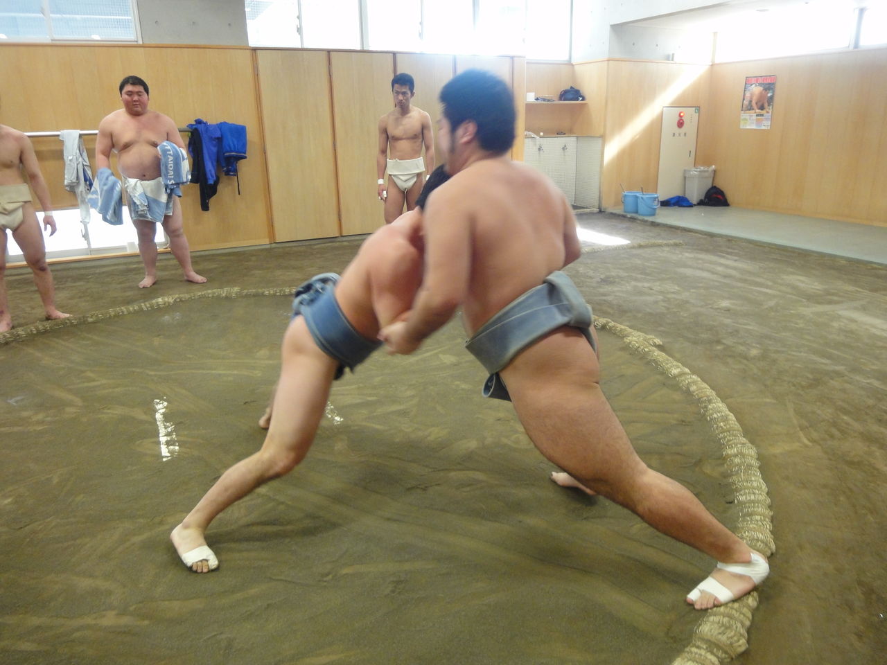 山口県来校 日本体育大学相撲部 マネージャー部屋 山口県来校 日本体育大学相撲部 マネージャー部屋