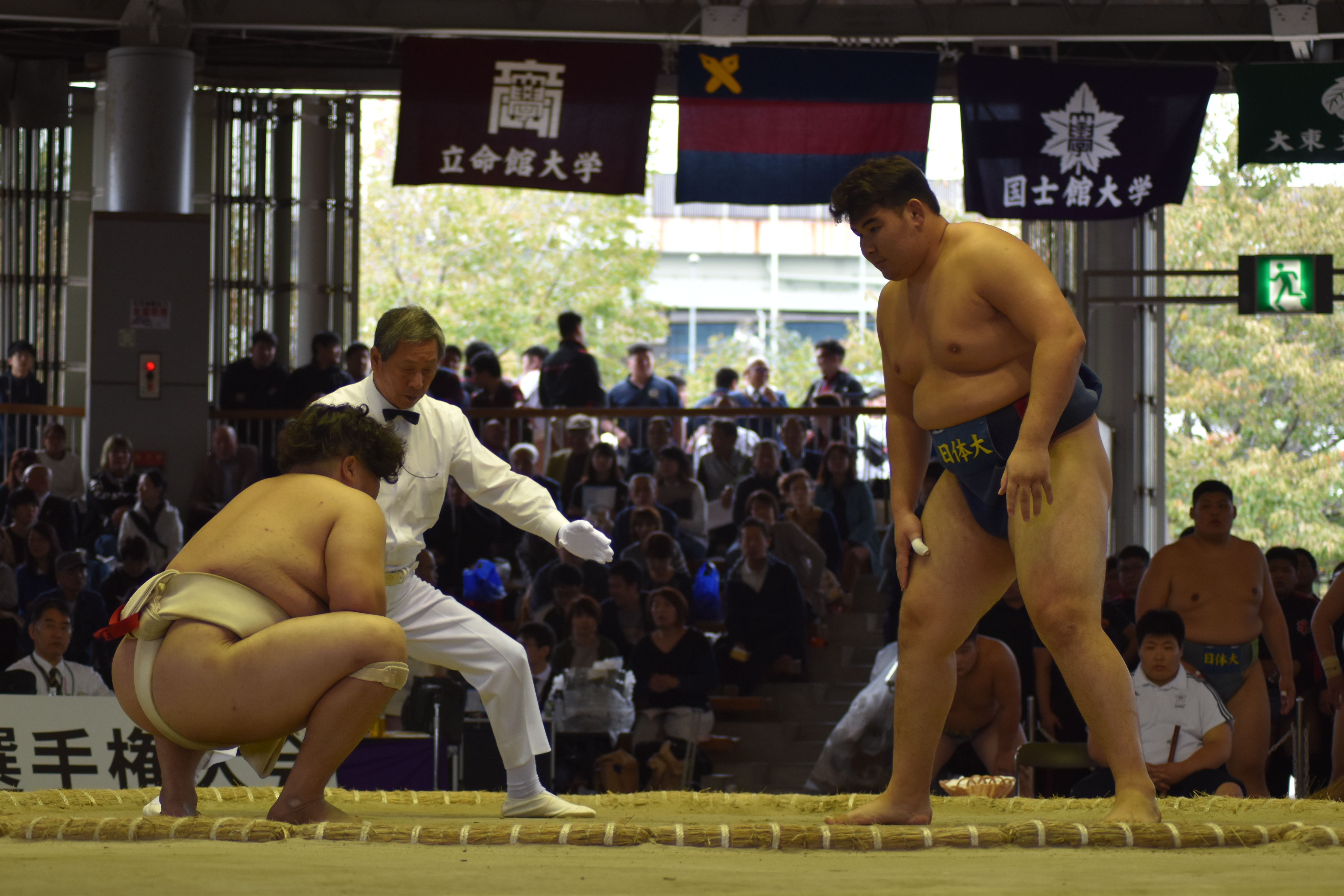 第97回全国学生相撲選手権大会 第2日目結果報告 日本体育大学相撲部 マネージャー部屋