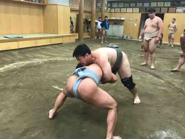 稽古風景 日本体育大学相撲部 マネージャー部屋 稽古風景 日本体育大学相撲部 マネージャー部屋