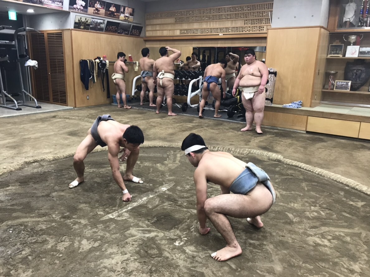 稽古風景 日本体育大学相撲部 マネージャー部屋 稽古風景 日本体育大学相撲部 マネージャー部屋