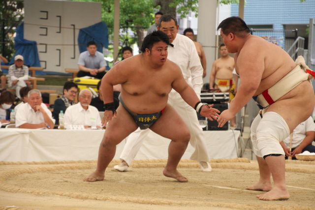 第５５回全国選抜大学 実業団対抗相撲和歌山大会 結果報告 日本体育大学相撲部 マネージャー部屋
