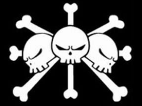 ワンピース 黒ひげ海賊団のメンバー 船員 超ジャンプ速報
