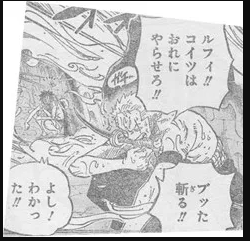 ワンピース ルフィ ゾロ 任せた ゾロにしか言わないんだよなぁ 超ジャンプ速報