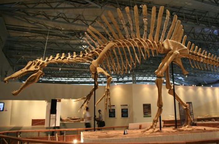 驚愕のスケール地球の歴史に残る巨大生物たちその ニチャオプ報道 Nicha Op Coverage